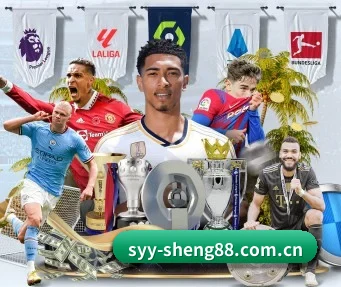 盛世娱乐入口 APP